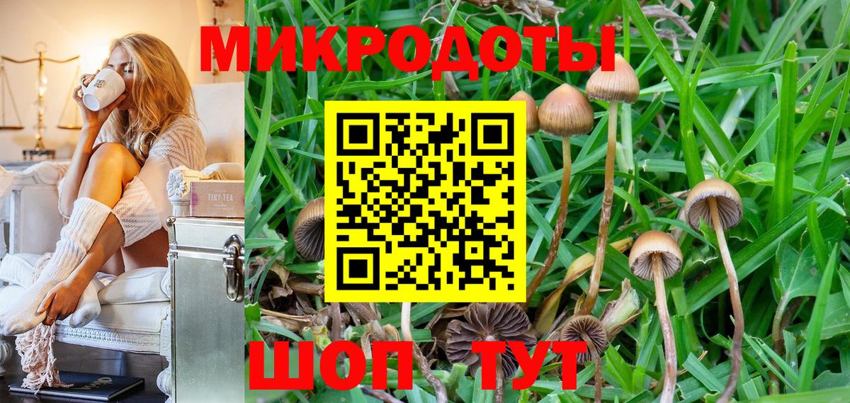 Галлюциногенные грибы мухоморы Зеленогорск